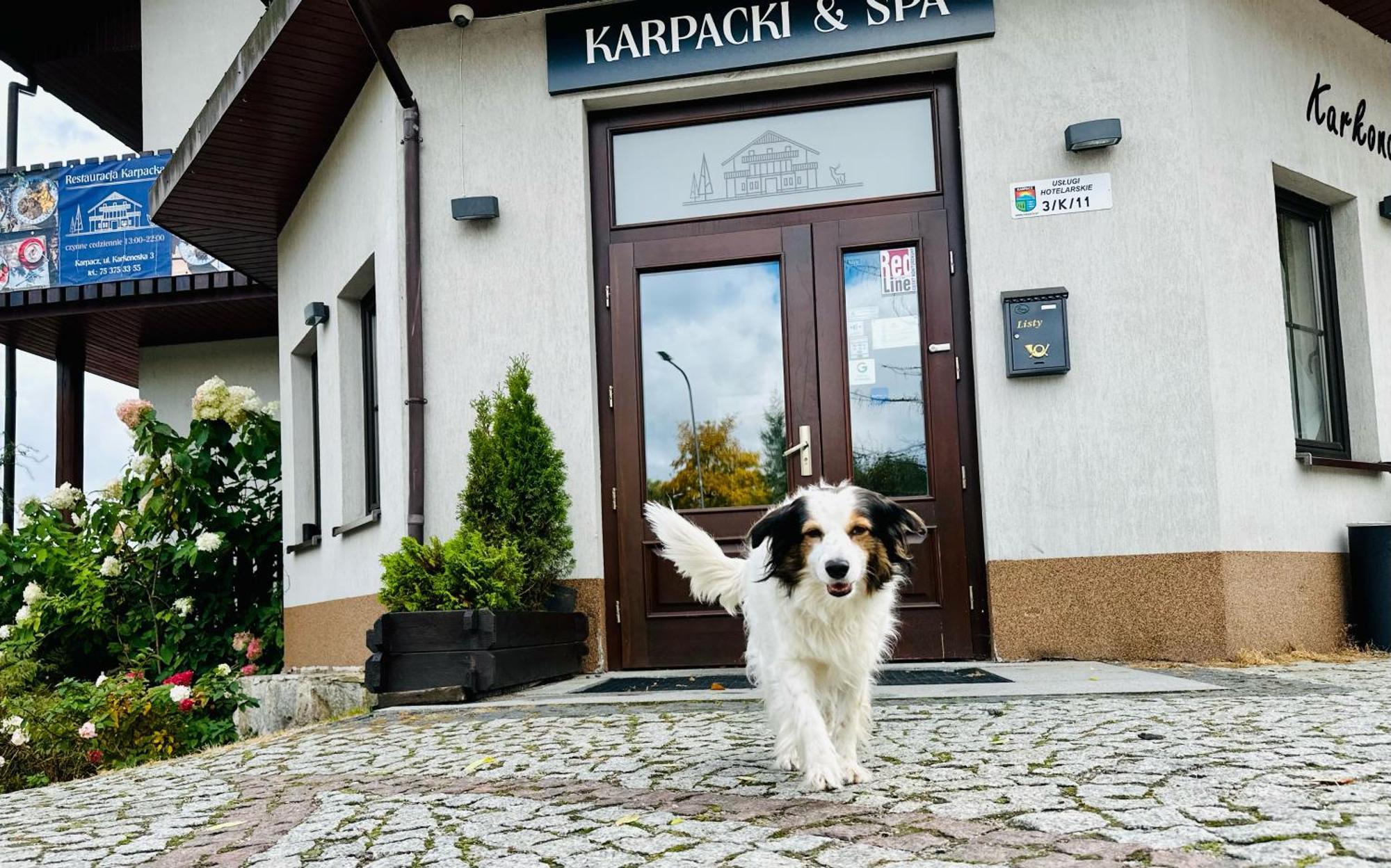 Karpacki & Spa - Blisko Wyciagu, Restauracja, Sala Zabaw, Bar 24H (Adults Only) Karpacz Luaran gambar